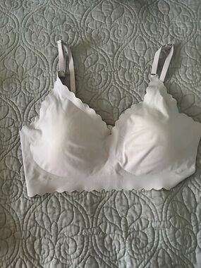 Seamless Scallop Edge lavender Bra